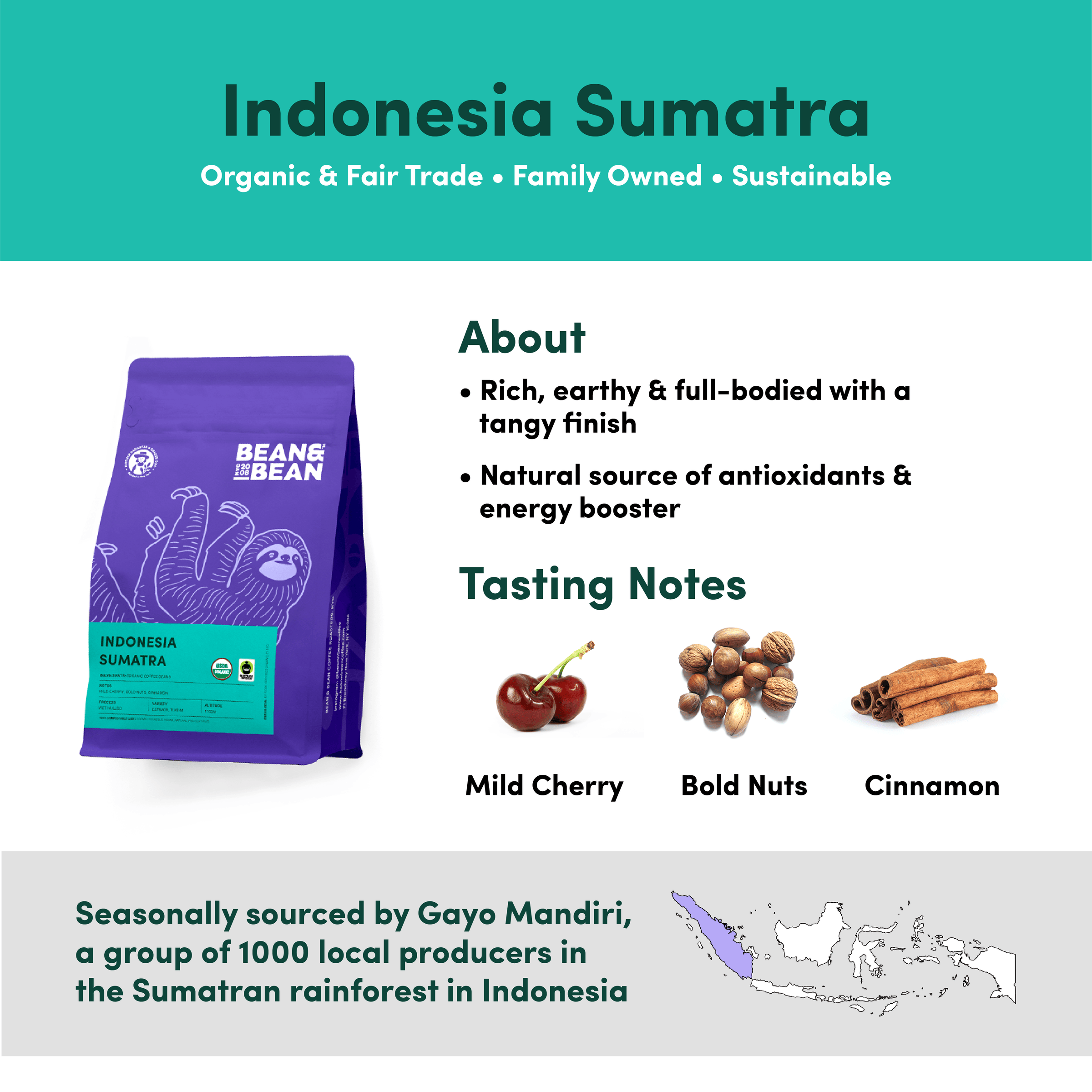 Bean & Bean Indonesia Sumatra coffee with tasting notes of Mild Cherry, Bold Nuts, and Cinnamon. Described as rich, earthy, and full-bodied with a tangy finish. Seasonally sourced from Gayo Mandiri, a group of 1,000 local producers in the Sumatran rainforest. Organic, Fair Trade, Family Owned, and Sustainable.