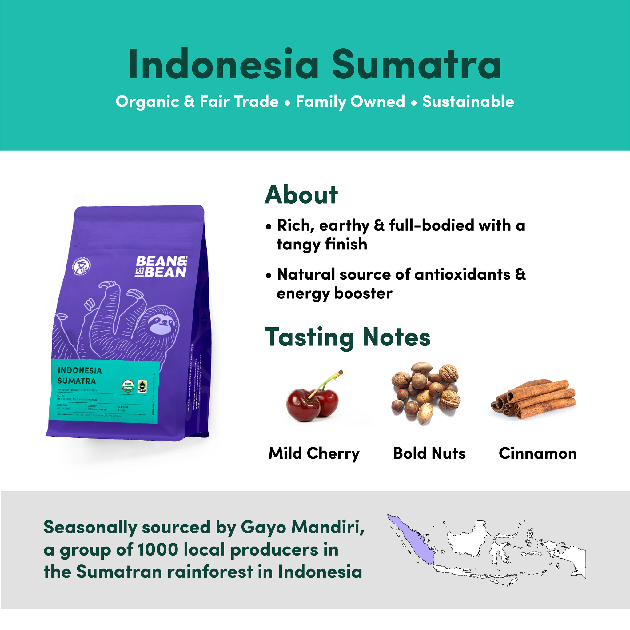 An infographic about Indonesian Sumatra coffee with a bag of coffee, cherries, nuts, and cinnamon.