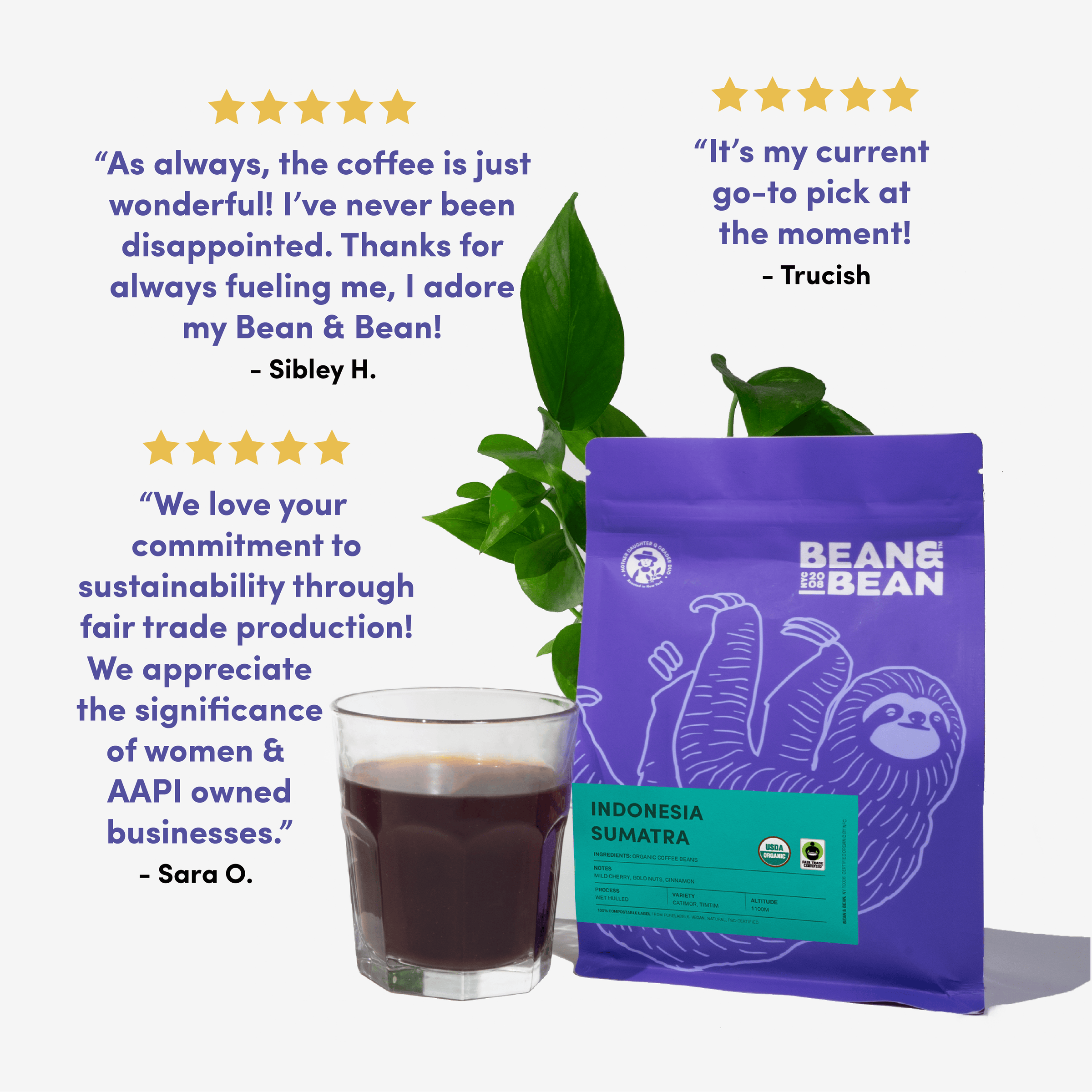 Bean & Bean Indonesia Sumatra coffee bag with a glass of brewed coffee and green plant. Surrounded by customer reviews praising the coffee’s consistent quality, sustainability, and support for women and AAPI-owned businesses.