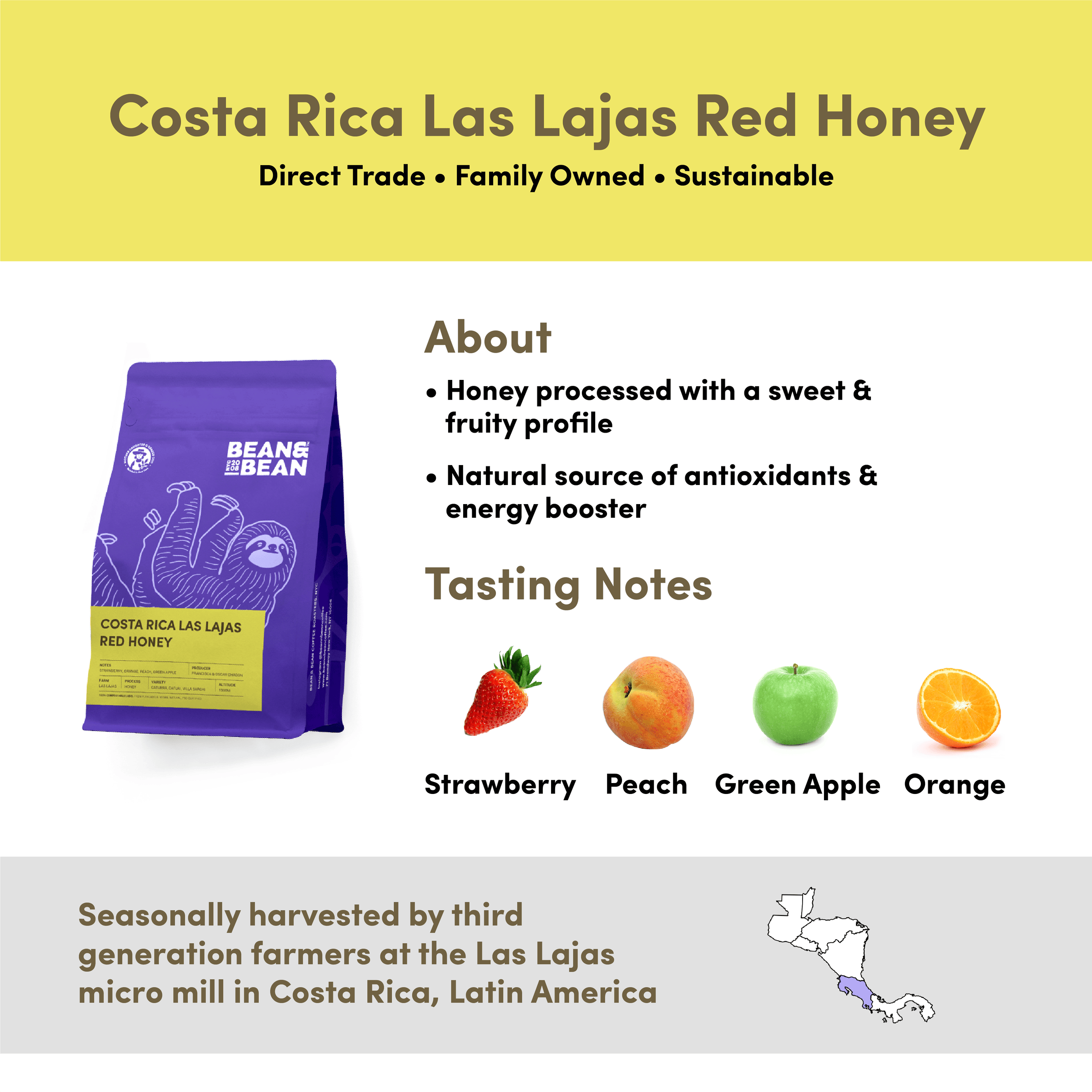 Bean & Bean Costa Rica Las Lajas Red Honey coffee with tasting notes of Strawberry, Peach, Green Apple, and Orange. Honey processed with a sweet and fruity profile. Seasonally harvested by third-generation farmers at the Las Lajas micro mill in Costa Rica. Direct Trade, Family Owned, and Sustainable.