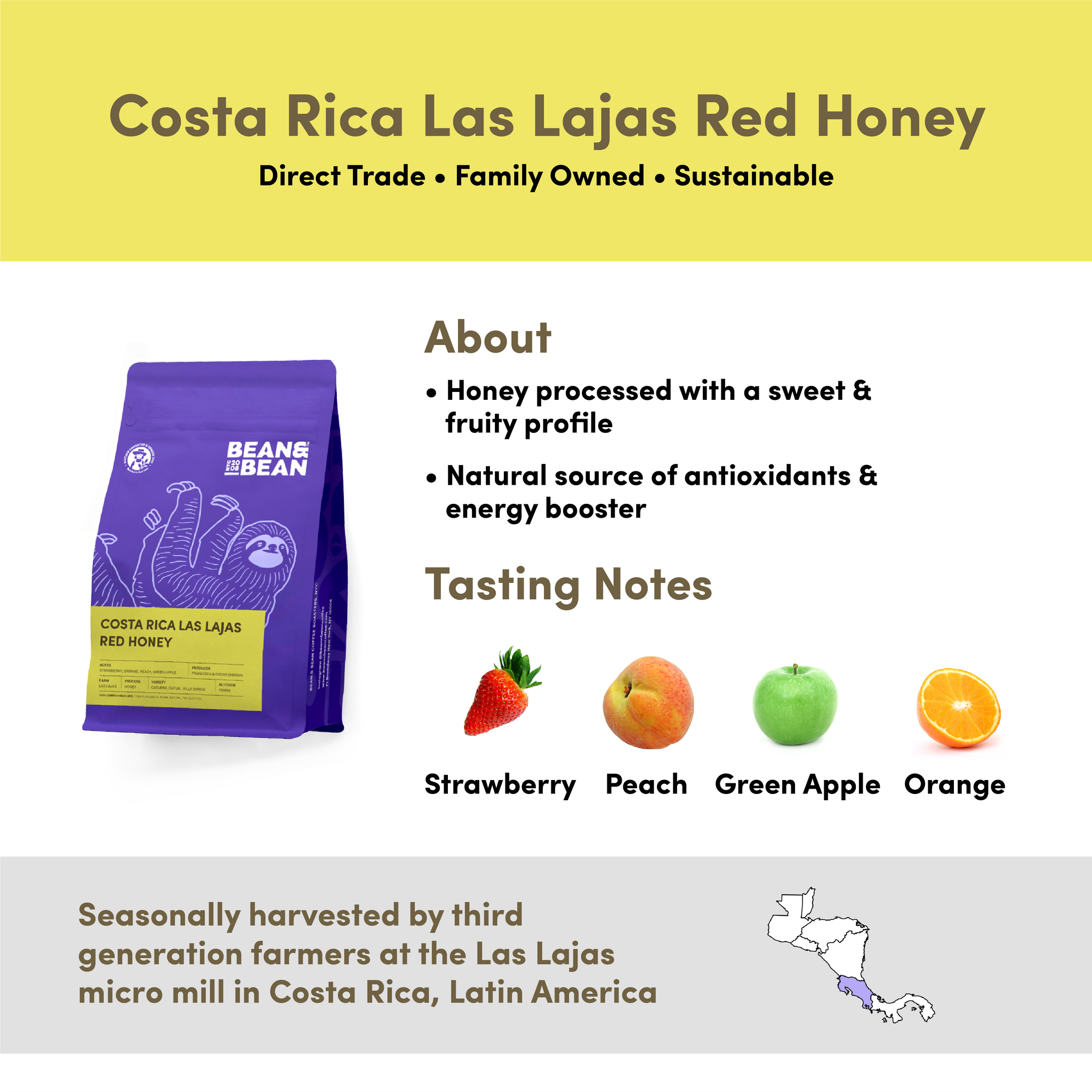 Costa Rica Las Lajas Red Honey Coffee