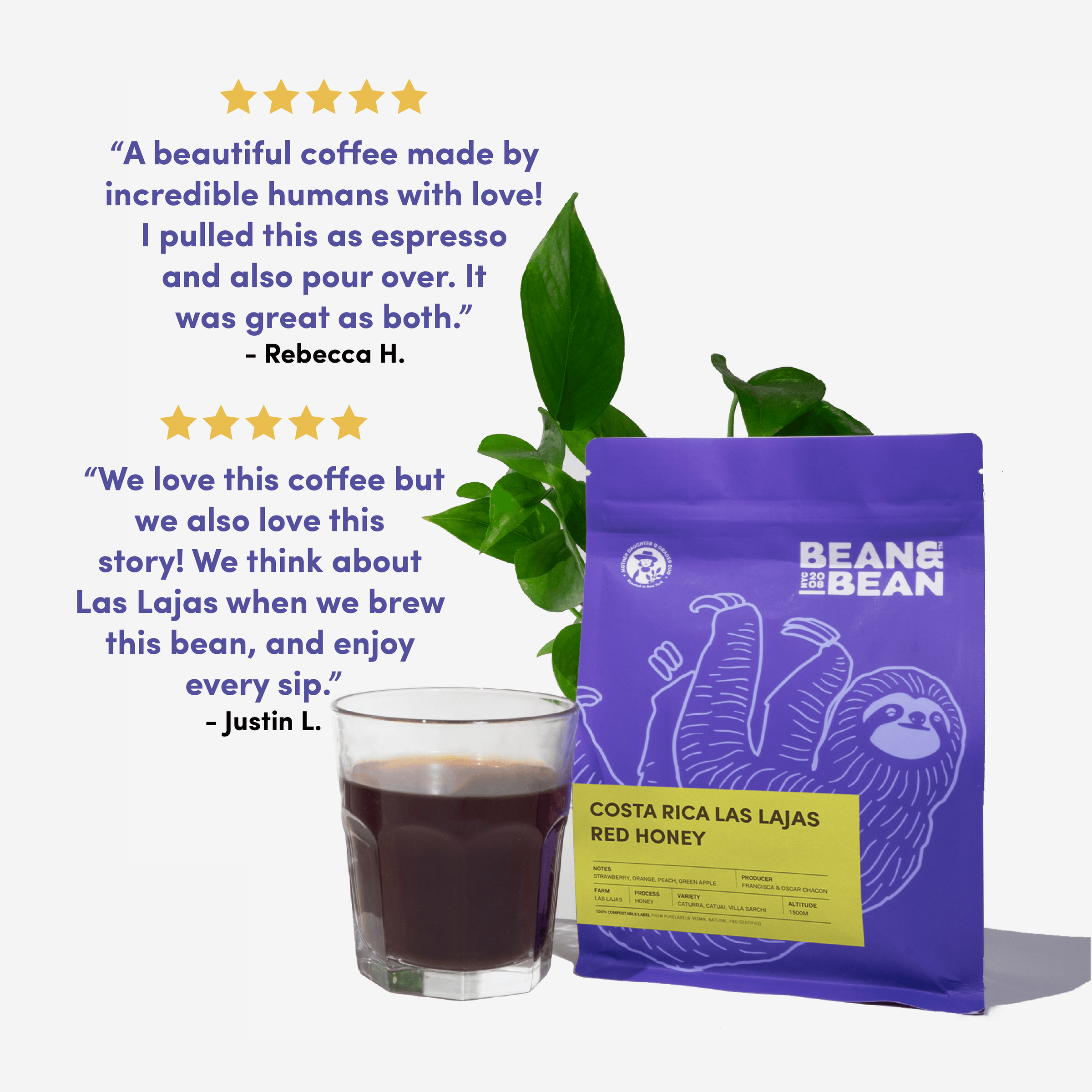 Bean & Bean Costa Rica Las Lajas Red Honey coffee with tasting notes of Strawberry, Peach, Green Apple, and Orange. Features a sweet and fruity honey process. Seasonally harvested by third-generation farmers at the Las Lajas micro mill in Costa Rica. Direct Trade, Family Owned, and Sustainable.