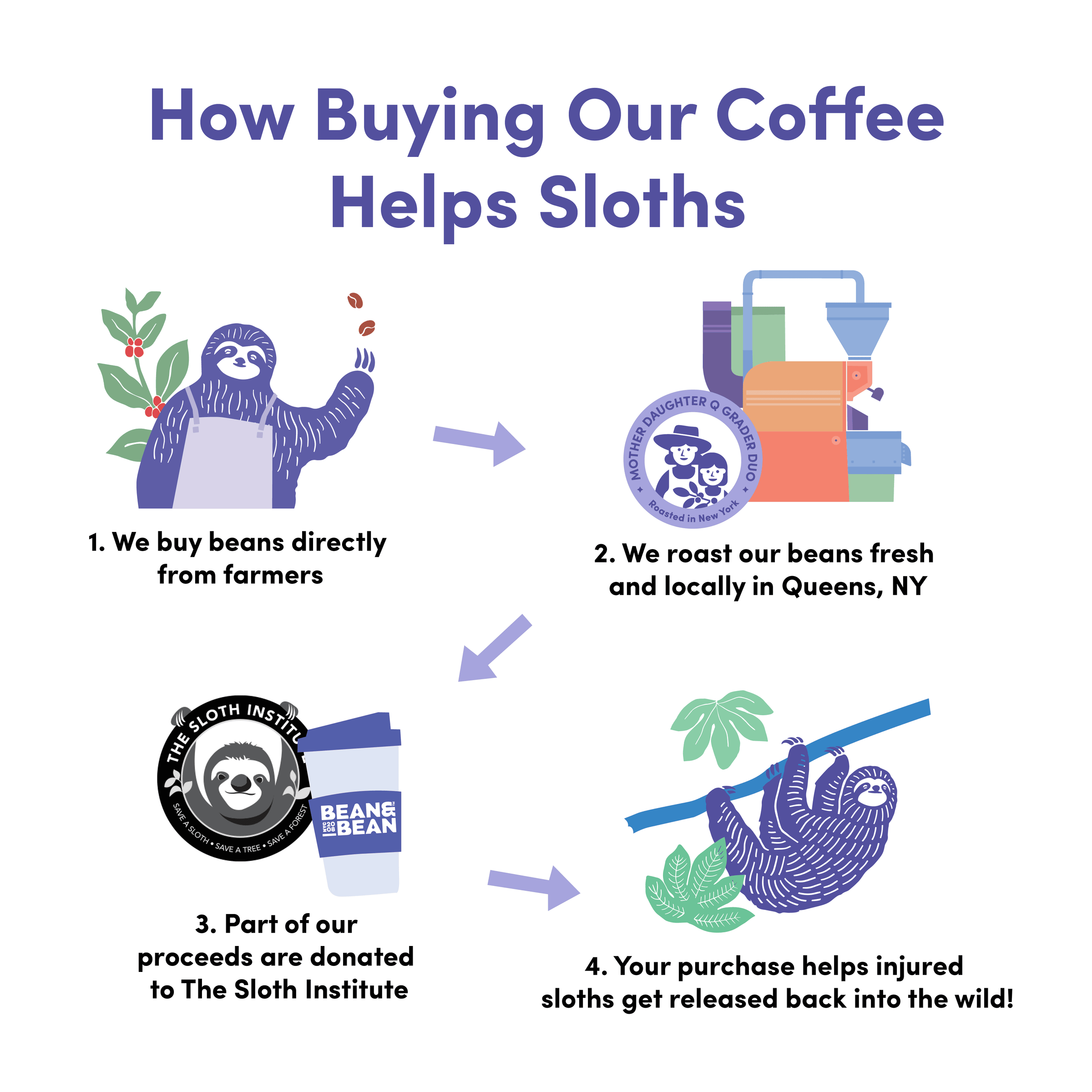 Infographic showing how coffee purchases help sloths: beans are bought from farmers, roasted in Queens, NY, a portion of proceeds go to The Sloth Institute, and injured sloths are released back into the wild.