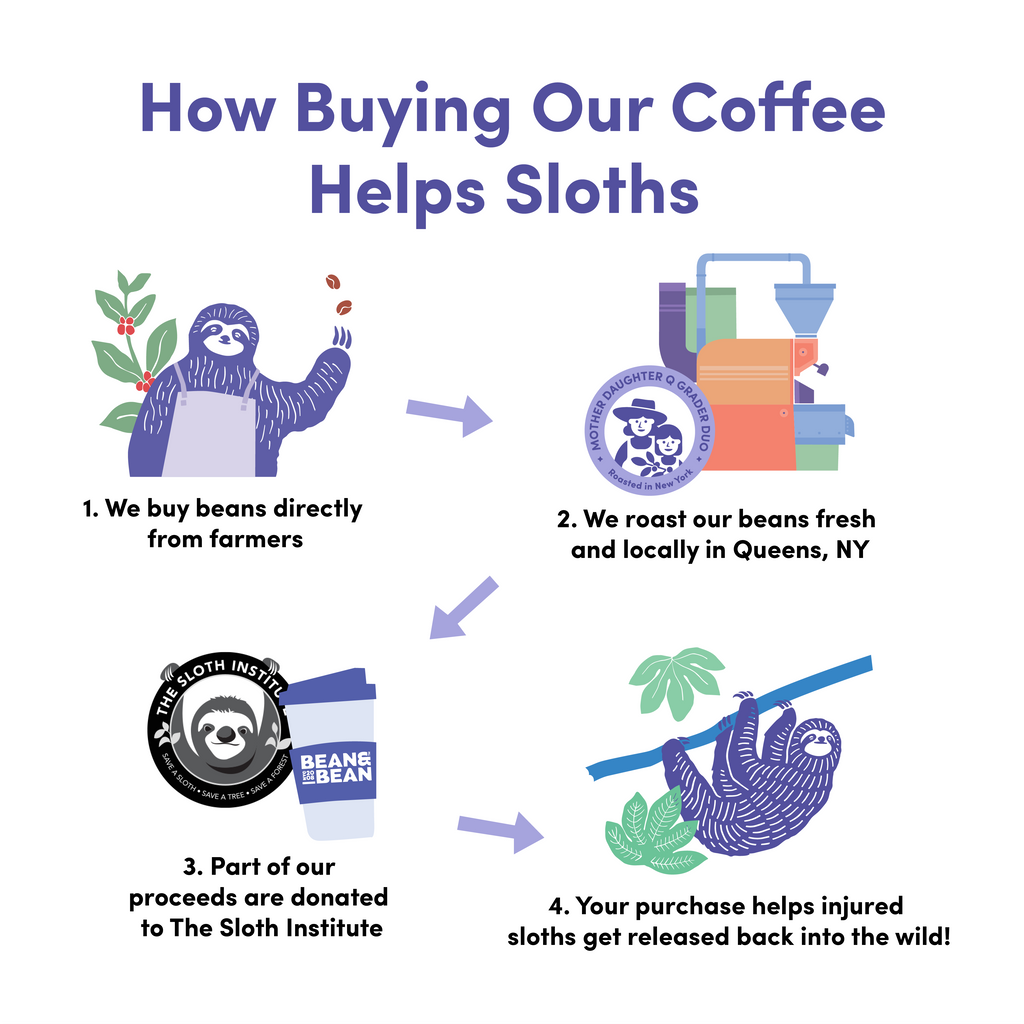 An infographic with four sections that explains how buying coffee helps sloths. The first section shows a sloth hanging from a tree with a coffee bean in its hand. The second section shows a coffee roaster with a sloth on top. The third section shows a sloth with a coffee cup in its hand. The fourth section shows a sloth hanging from a tree with a coffee cup in its hand. Each section has a text description of how buying coffee helps sloths
